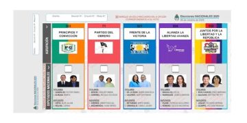 Desde el TEP aclararon sobre la publicación de los resultados de las elecciones del próximo domingo 26