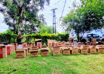 Gendarmería Nacional incautó 147.630 atados de cigarrillos de contrabando