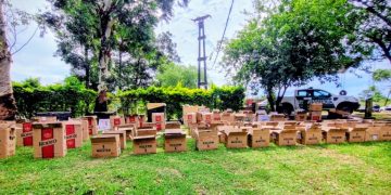 Gendarmería Nacional incautó 147.630 atados de cigarrillos de contrabando