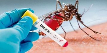 Desarrollo Humano instó a sostener el control del mosquito ante un escenario epidemiológico estable