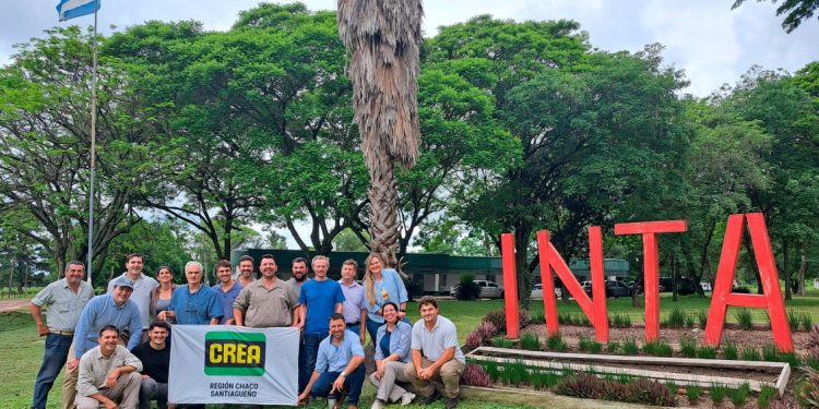 Autoridades de grupos CREA visitaron el INTA El Colorado para potenciar el desarrollo ganadero regional