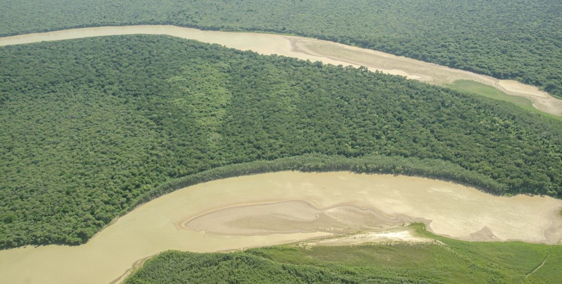 Otro ataque a un yaguareté en El Impenetrable