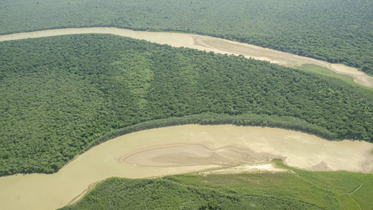 Otro ataque a un yaguareté en El Impenetrable