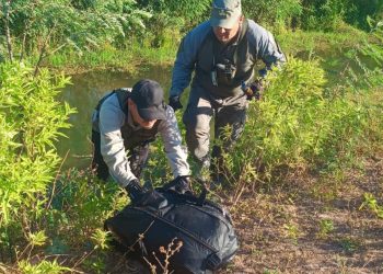 Hallan más de 11 kilos de cogollos de marihuana en un bolso de mano