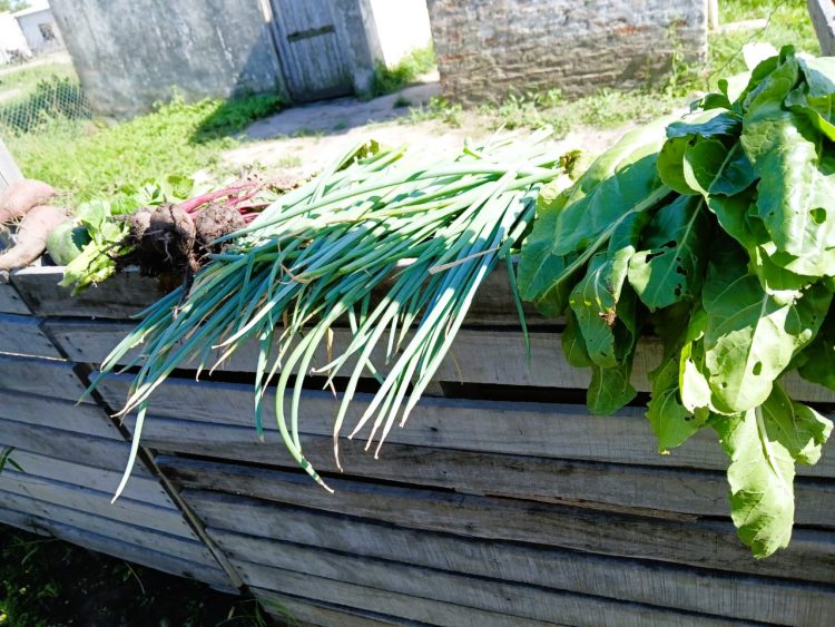 Vecinos del barrio Gurrieri continúan impulsando la huerta comunitaria del espacio de acompañamiento