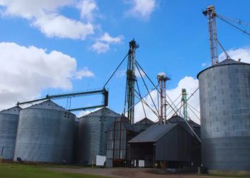 Pautas para reducir el riesgo de mezclas en la cosecha y minimizar pérdidas