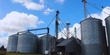 Pautas para reducir el riesgo de mezclas en la cosecha y minimizar pérdidas