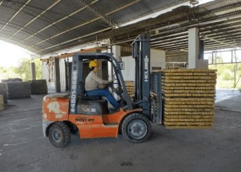 El secado de madera mejora la competitividad de 12 empresas y consorcios formoseños