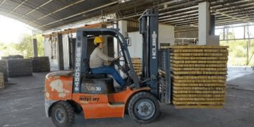 El secado de madera mejora la competitividad de 12 empresas y consorcios formoseños