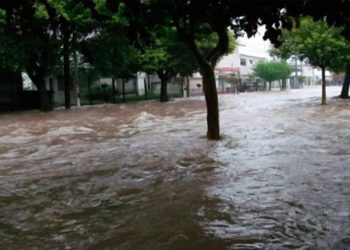 Temporal deja múltiples anegamientos mientras la lluvia no afloja