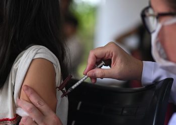 Vacuna del dengue: un informe científico confirmó la eficacia sostenida contra la infección