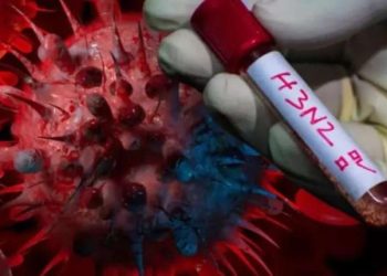 Supergripe H3N2 en Argentina: la enfermedad avanza y se acelera el plan para frenarla antes de la próxima ola