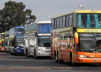 Se podrán trasladar animales domésticos en colectivos de larga distancia de jurisdicción nacional