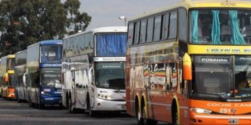 Se podrán trasladar animales domésticos en colectivos de larga distancia de jurisdicción nacional
