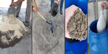 Ensayan un biopreparado de microorganismos nativos sobre variables productivas de mandioca en el NEA