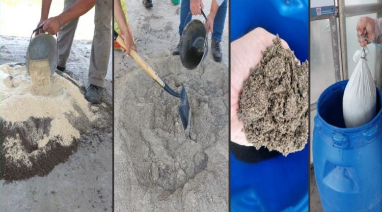 Ensayan un biopreparado de microorganismos nativos sobre variables productivas de mandioca en el NEA