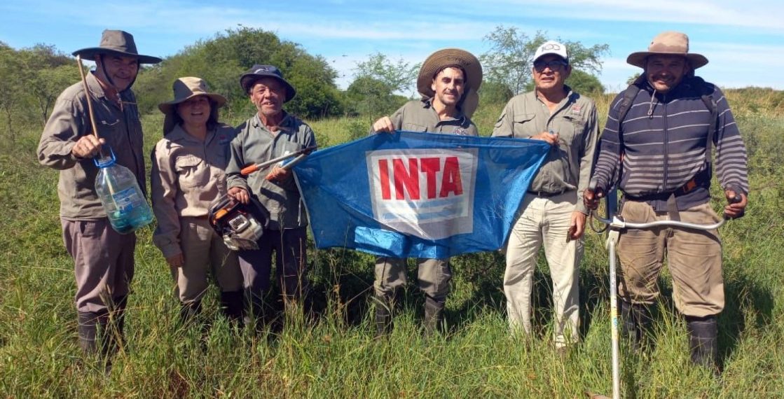 La importancia del manejo forestal para mejorar la productividad agropecuaria