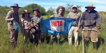 La importancia del manejo forestal para mejorar la productividad agropecuaria