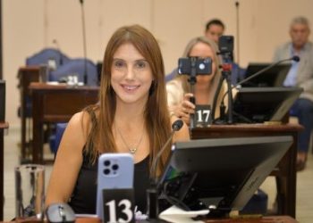 Villaggi denunció que Insfrán «maneja los recursos con total discrecionalidad»