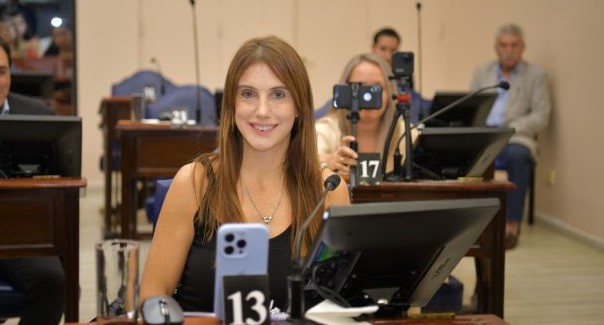 Villaggi denunció que Insfrán «maneja los recursos con total discrecionalidad»