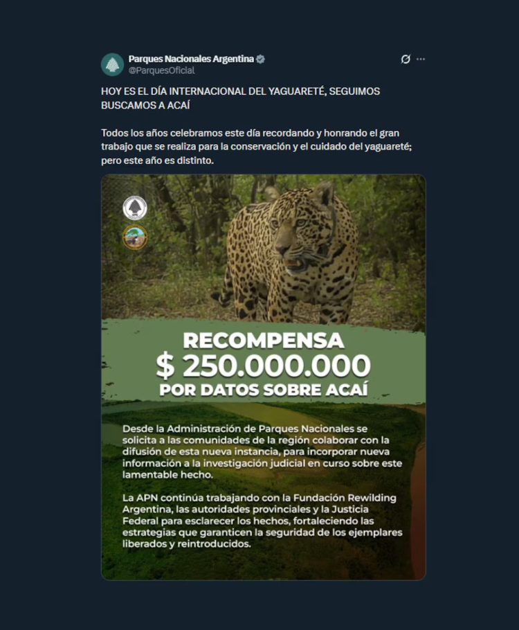 Se cumplen dos meses de la desaparición de Acaí: ni una sola persona aportó datos, a pesar de la recompensa millonaria