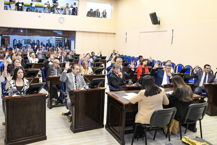 La Cámara de Diputados de la provincia renovó la mitad de sus integrantes en sesión especial