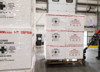 Formosa será una de las 11 provincias en recibir lotes de vacunas contra el dengue