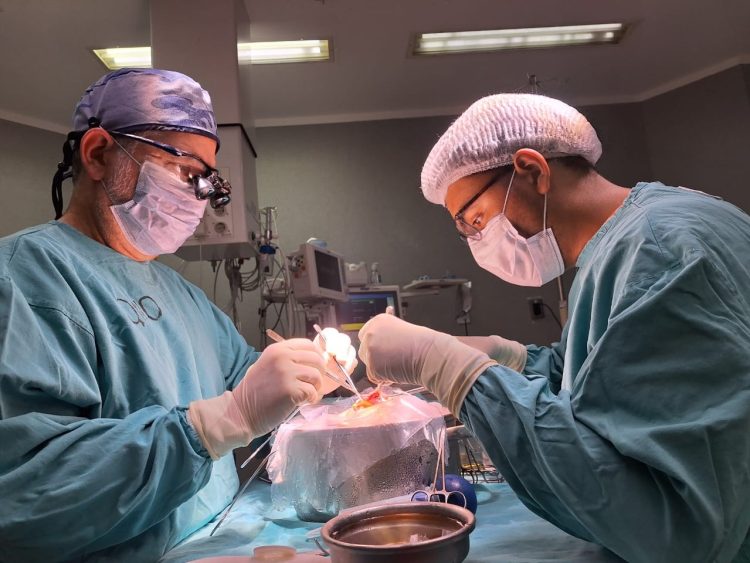 El HAC celebró el primer trasplante hepático del 2026