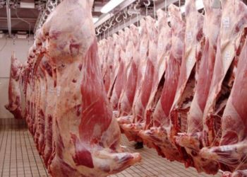 El Gobierno nacional moderniza la faena y simplifica reglas para impulsar la producción cárnica