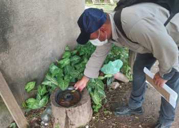 En el comienzo del año, los casos de dengue se presentaron sin modificaciones respecto a la última semana del 2025