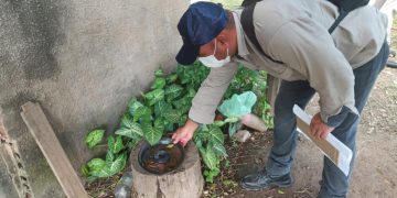 En el comienzo del año, los casos de dengue se presentaron sin modificaciones respecto a la última semana del 2025