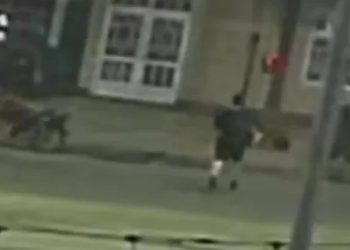 Demencial ataque a un hombre frente a un local gastronómico, lo dejó en coma: la Policía busca al agresor