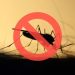 Adiós a los mosquitos: la técnica que gana popularidad para proteger el hogar