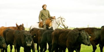 Recuerdan la importancia de la vacunación contra la rabia paresiante para prevenir la enfermedad