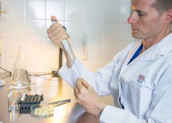 Chips de mozzarella: innovación del INTA para mejorar la nutrición