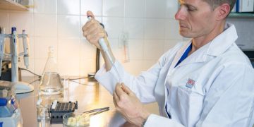 Chips de mozzarella: innovación del INTA para mejorar la nutrición