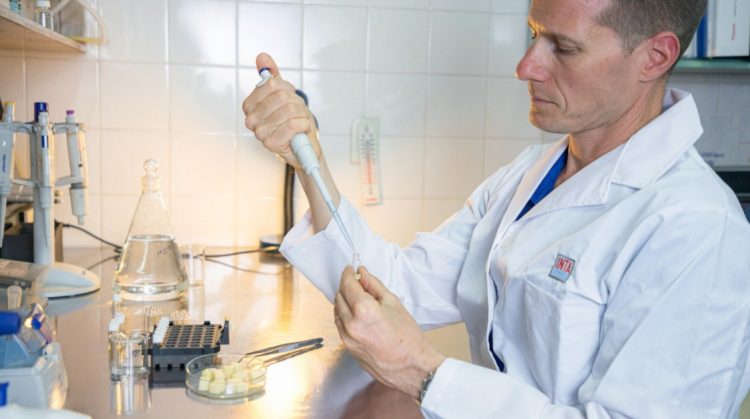 Chips de mozzarella: innovación del INTA para mejorar la nutrición