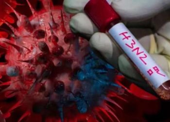 Detectan en Chaco el primer caso de influenza A H3N2 aunque descartan «riesgo sanitario»