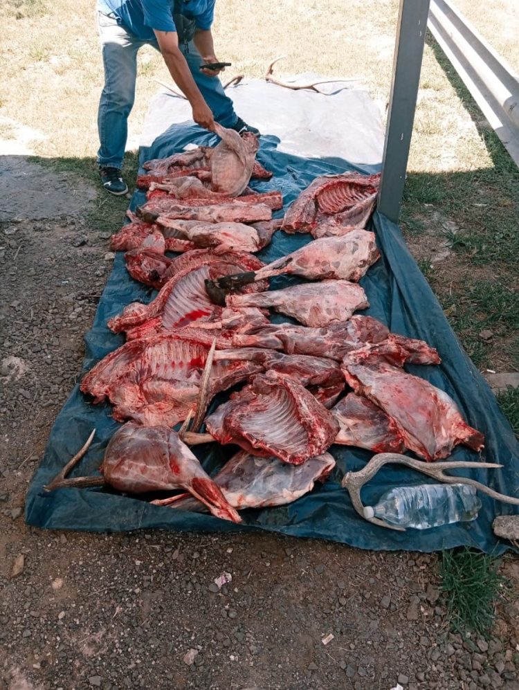 Chaco: interceptaron a tres formoseños con armas y carne faenada