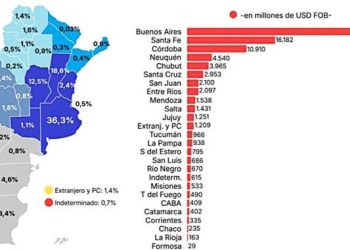 Formosa es la provincia con menor volumen de ventas al exterior del país