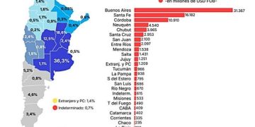 Formosa es la provincia con menor volumen de ventas al exterior del país