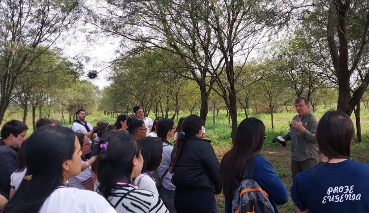 Ensayo de algarrobos nativos en Laguna Naineck