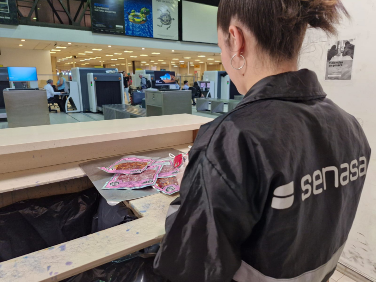 Más de 21 millones de pasajeros ingresaron al país durante el año 2025