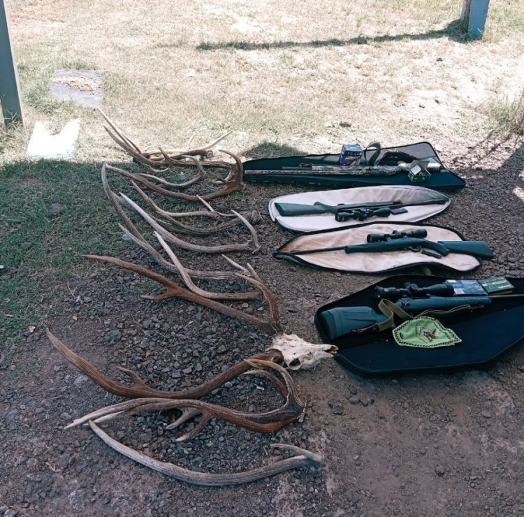 Chaco: interceptaron a tres formoseños con armas y carne faenada