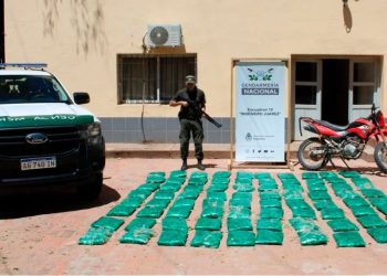 Abandonan una moto cargada con hojas de coca en medio de la espesura del monte