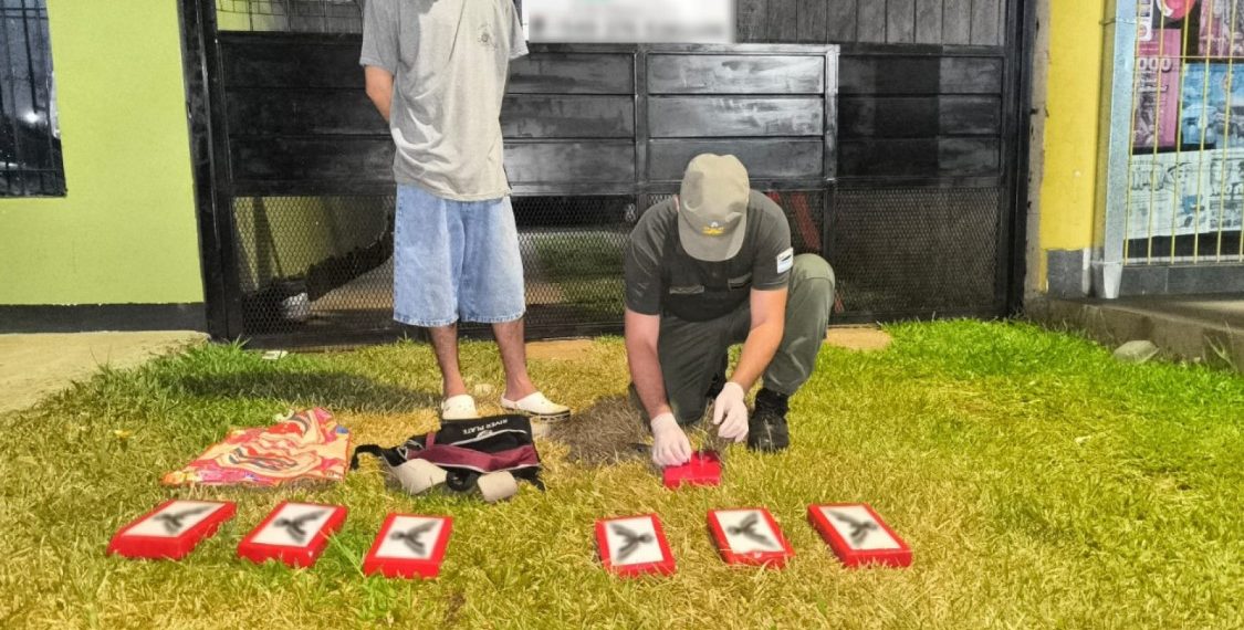 Gendarmería desbarató una organización narcocriminal que operaba en Misiones y Formosa