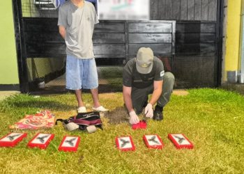 Gendarmería desbarató una organización narcocriminal que operaba en Misiones y Formosa