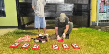 Gendarmería desbarató una organización narcocriminal que operaba en Misiones y Formosa