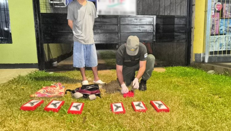 Gendarmería desbarató una organización narcocriminal que operaba en Misiones y Formosa