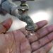 Clorinda sin agua potable: una crisis que golpea con las peores temperaturas